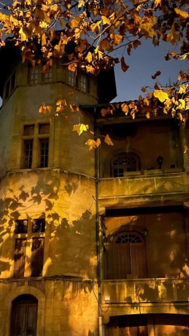 Une Nuit Au Chateau Lione Esterno foto